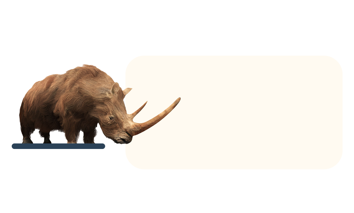 afbeelding5